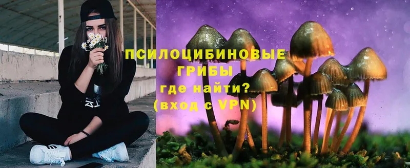 Галлюциногенные грибы Magic Shrooms  купить наркоту  Кинель 